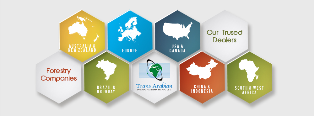 Your Source for Forest Products from Across the Globe