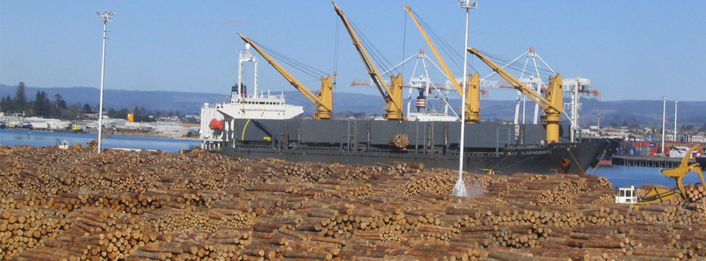 Trans Arabian Building Materials Trading L.L.C.