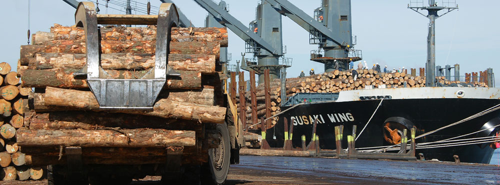 Trans Arabian Building Materials Trading L.L.C.