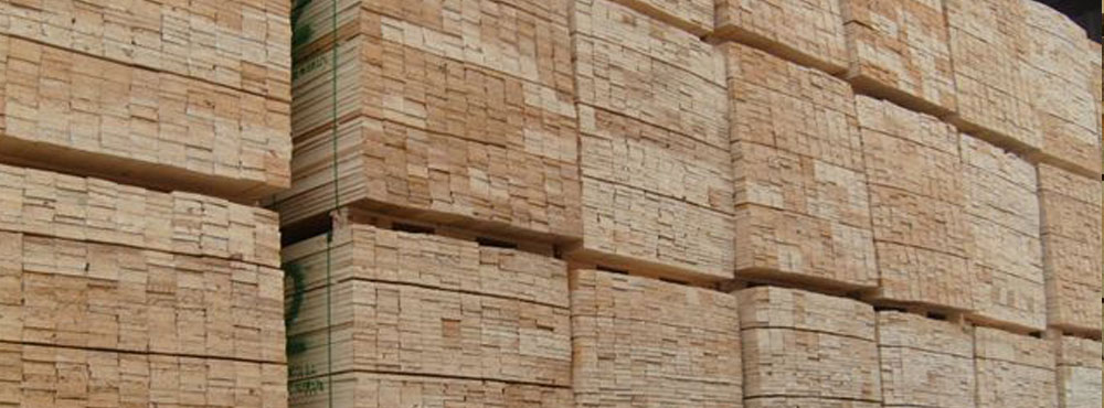 Your Source for Forest Products from Across the Globe